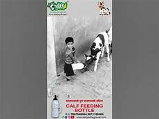 Calf Feedingbottle