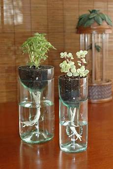 Beautiful Glass Bottles