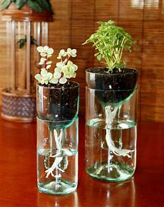 Beer Jars