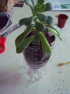 Bottle Container