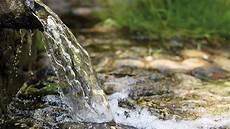 Bottled Spring Water