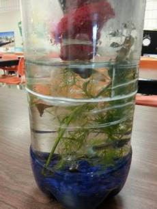 Lab Bottles