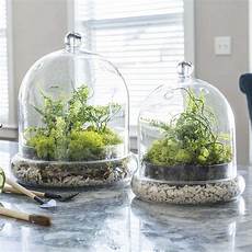 Mini Glass Containers