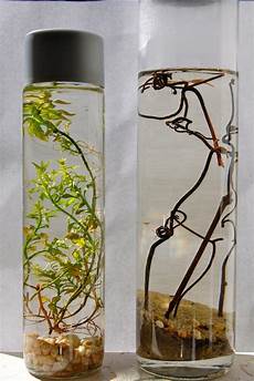 Plastic Water Glass